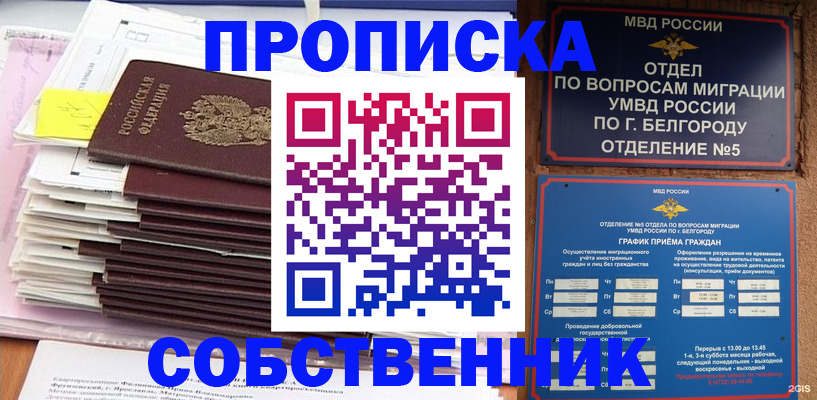 прописка законно в Владимире